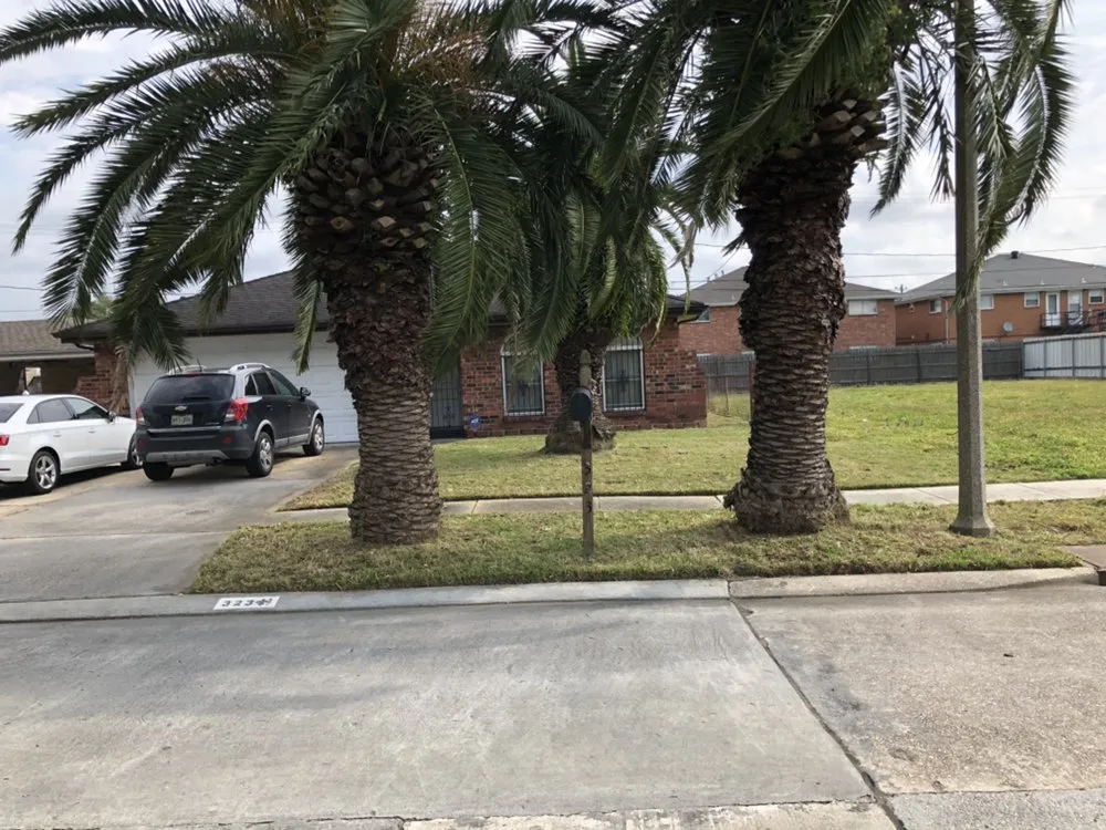 Trusted residential landscaping in New Orleans, LA - X-ceptional Lawns LLC