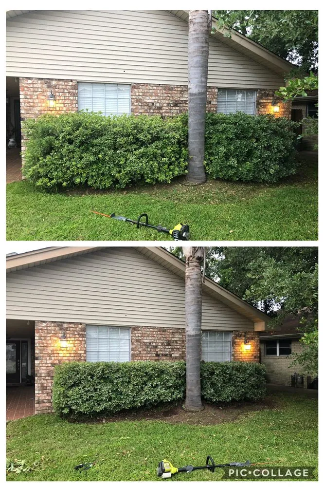 Affordable lawn care service for residential properties in New Orleans, LA by X-ceptional Lawns LLC