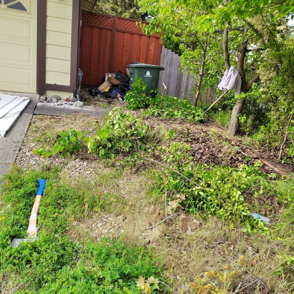 Reliable landscape installation experts serving Vallejo, CA - X G Services