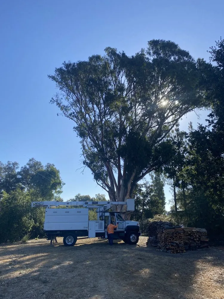 Reliable outdoor landscaping in Lompoc, CA - X Green Co. Tree Service