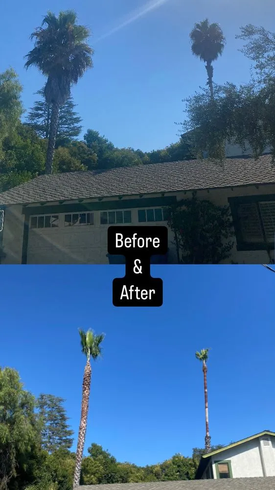 Local yard cleanup service with custom design across Lompoc, CA - X Green Co. Tree Service