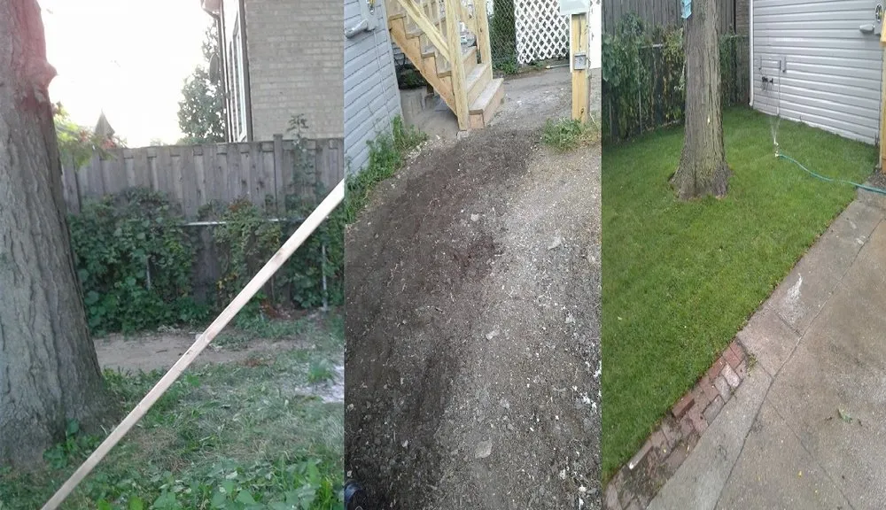 Professional yard cleanup service in Elgin, IL by X L N Lawn Care Services