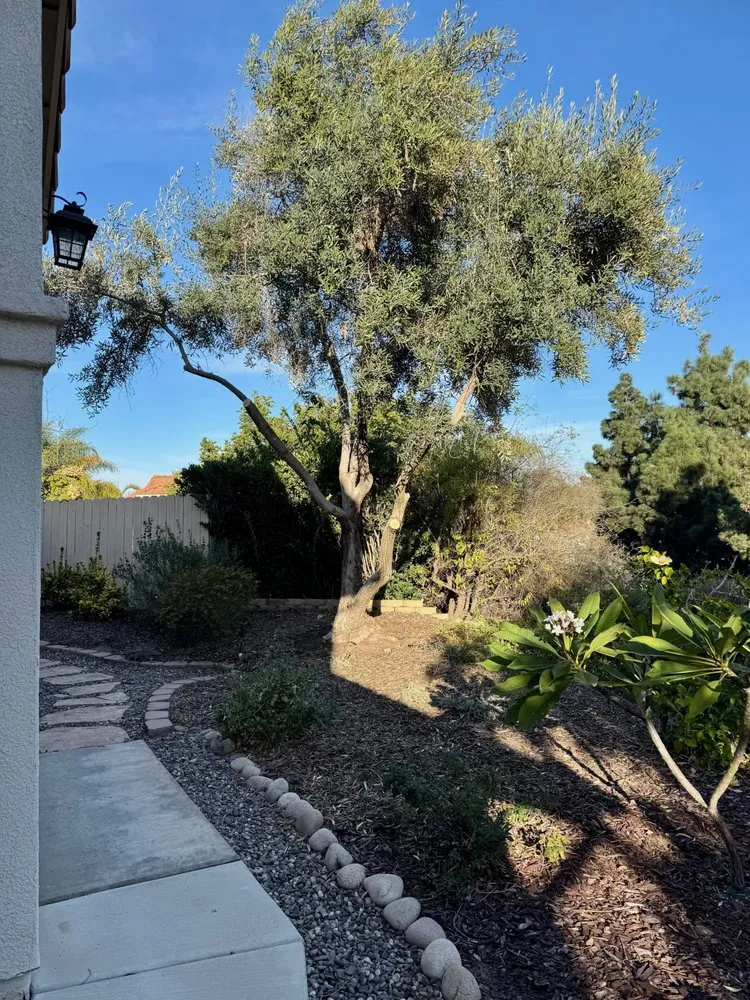 Top-rated landscaping services in Escondido, CA - X Landscape