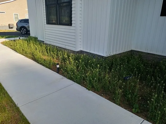 Professional lawn mowing service with custom design in Littlestown, PA by X Landscaping