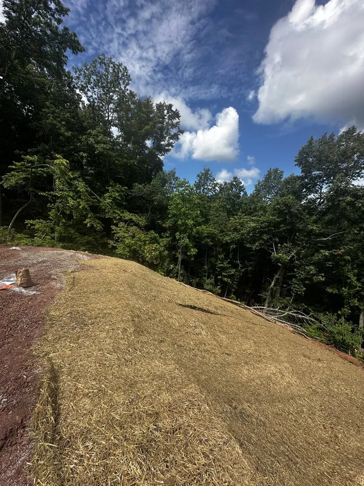Top-rated yard cleanup service in Talbott, TN by X stream Landscaping