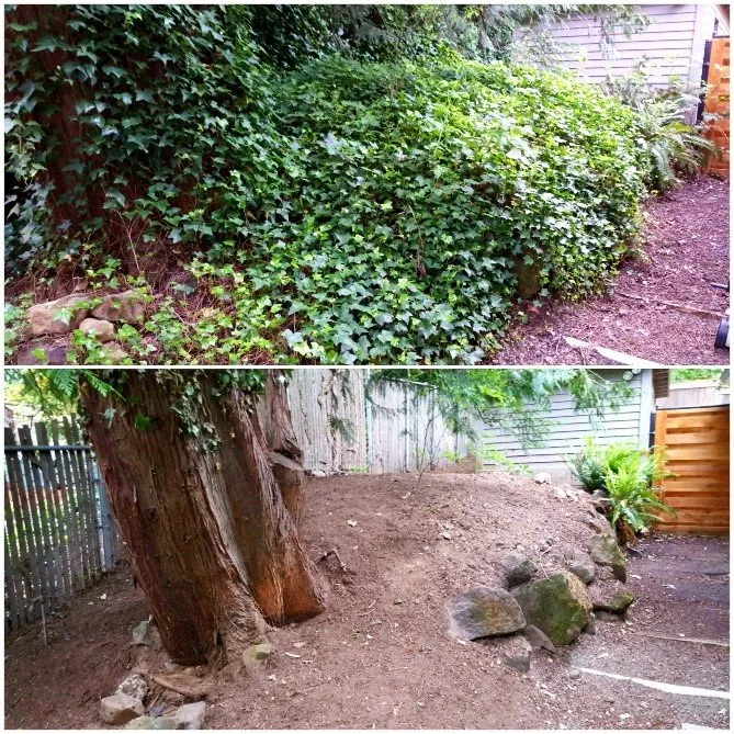 Top-rated outdoor landscaping in Tigard, OR - X-Tirp