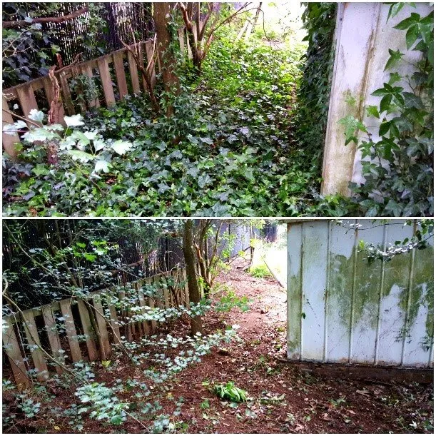 Reliable garden landscaping for residential properties across Tigard, OR - X-Tirp