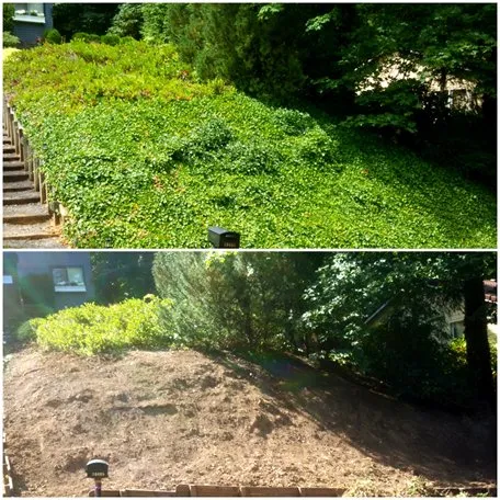 Trusted yard maintenance for outdoor upgrades in Tigard, OR by X-Tirp