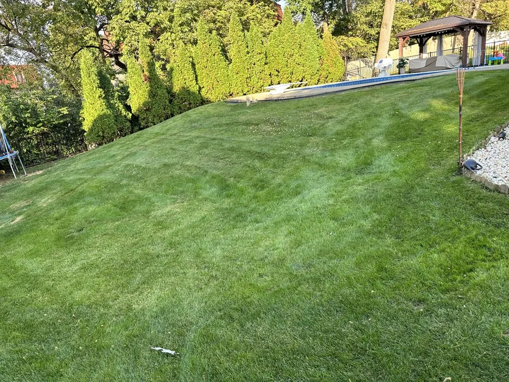 Trusted yard cleanup service experts serving Whitehall, PA - X Treme Lawn Care