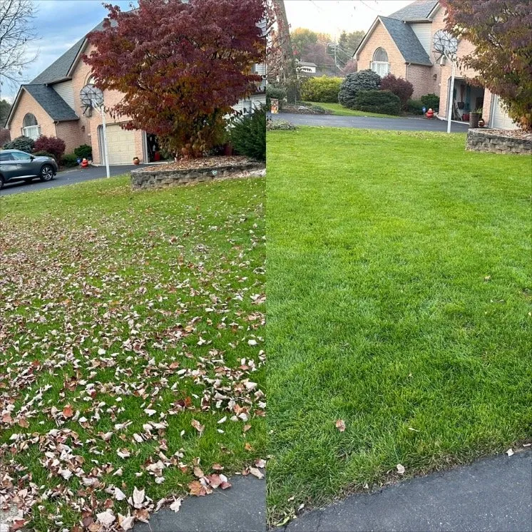 Top-rated garden landscaping experts serving Whitehall, PA - X Treme Lawn Care
