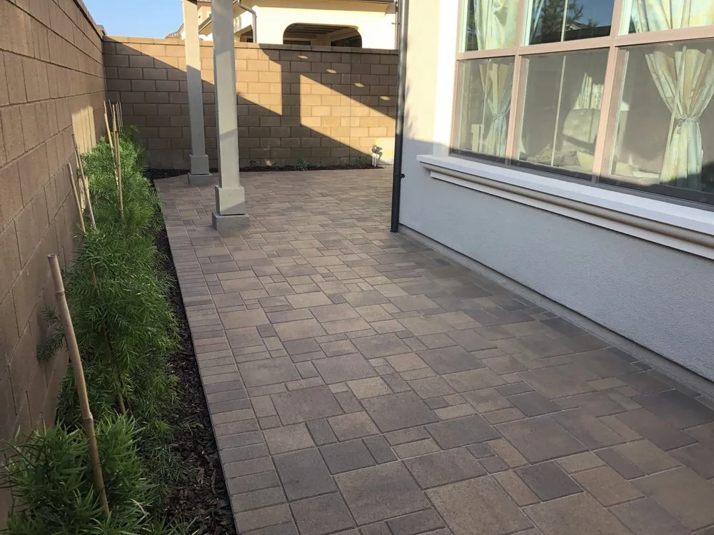Custom yard cleanup service in Irvine, CA by X Y Sunshine International