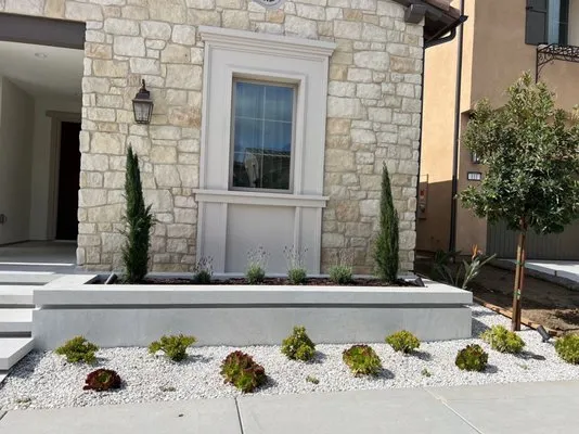 X Y Sunshine International Logo