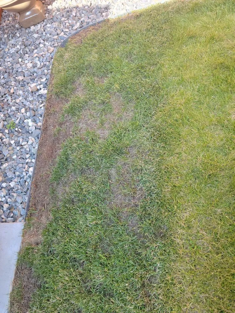 Top-rated landscape installation in Aurora, CO - Xander Landscaping