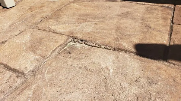 Xander Landscaping Logo