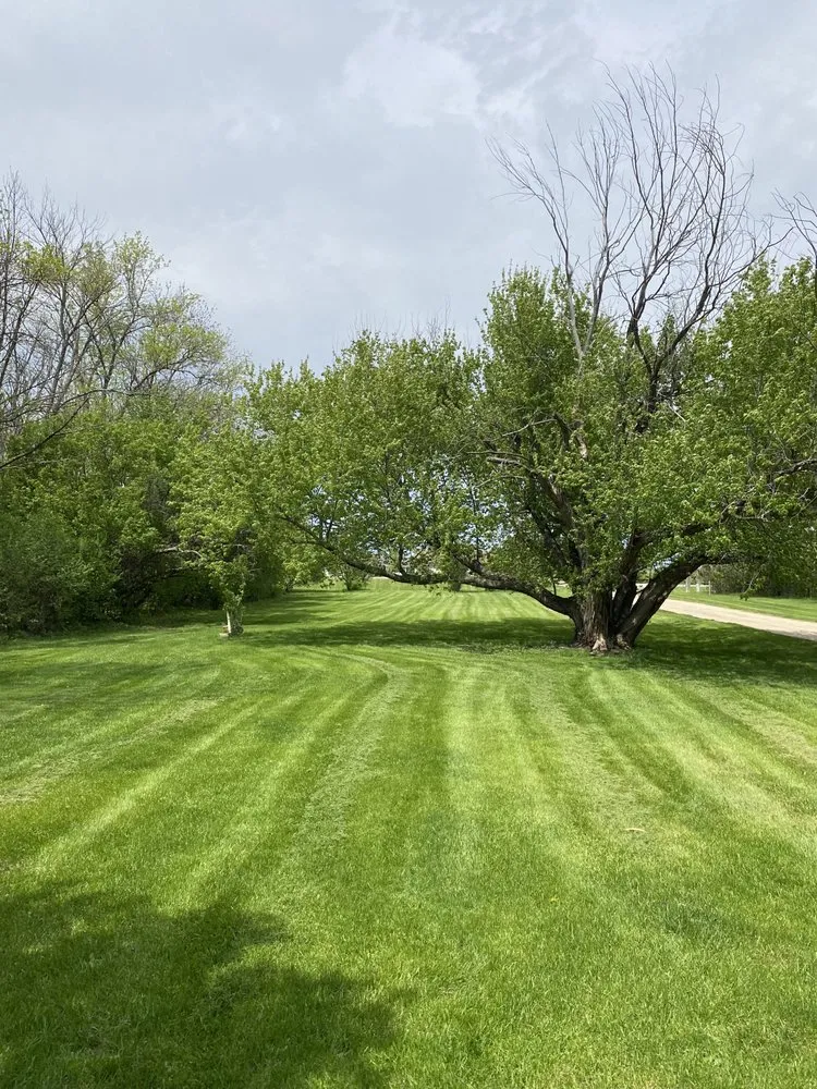 Top-rated yard maintenance for year-round maintenance across Aberdeen, SD - Xaviers Landscaping