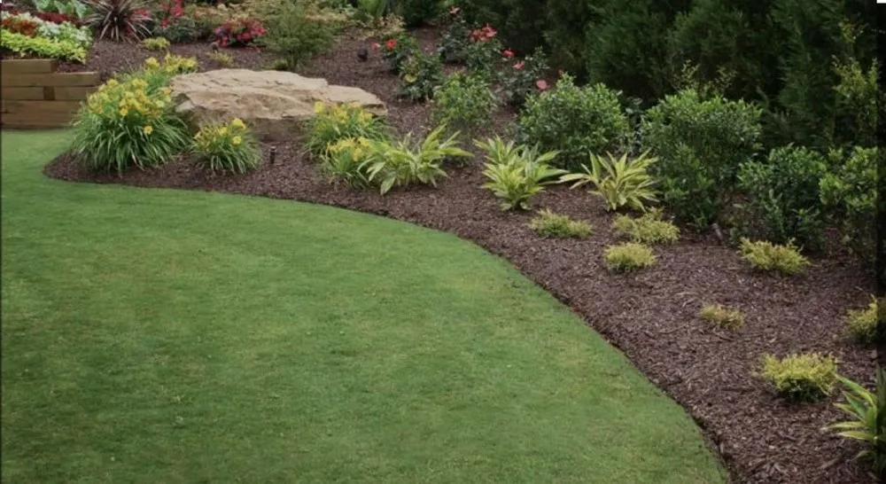 Professional yard cleanup service in Charlotte, NC by Xavier’s Landscaping