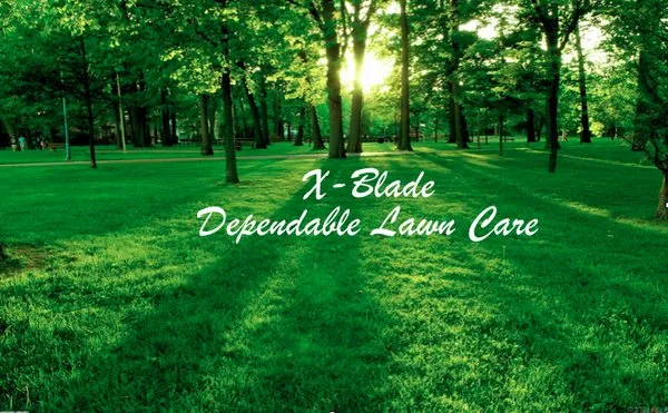 XBlade Lawn Care