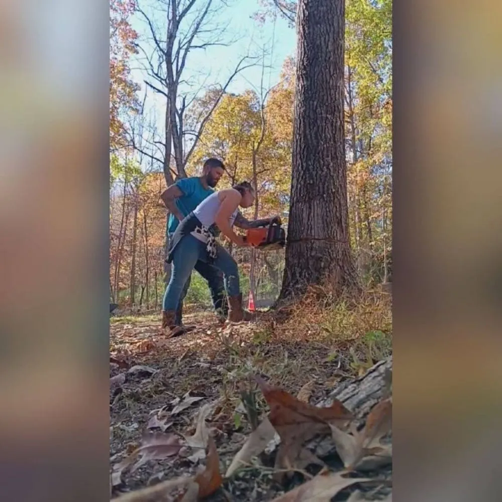 Professional outdoor landscaping in Lynchburg, VA - XBS Tree and Lawn Care