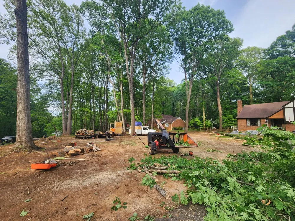 Reliable lawn care service near you across Lynchburg, VA - XBS Tree and Lawn Care