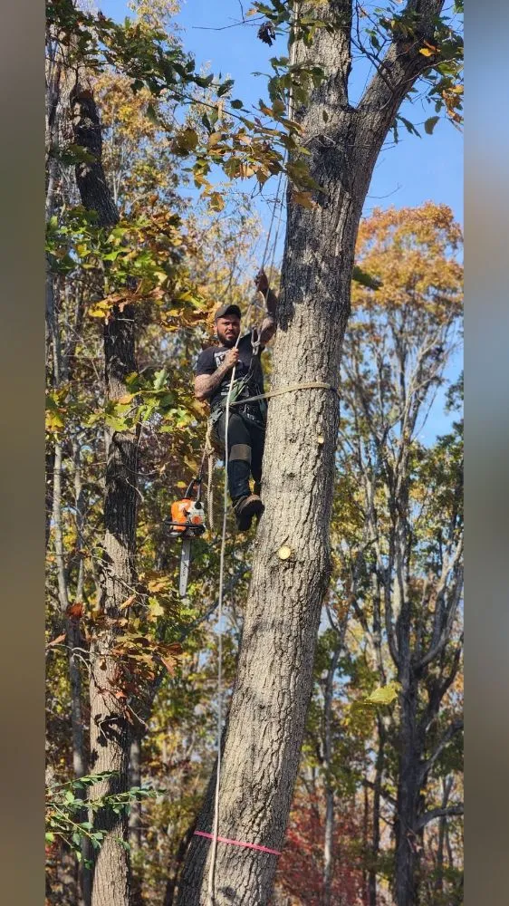 Expert landscaping services experts serving Lynchburg, VA - XBS Tree and Lawn Care