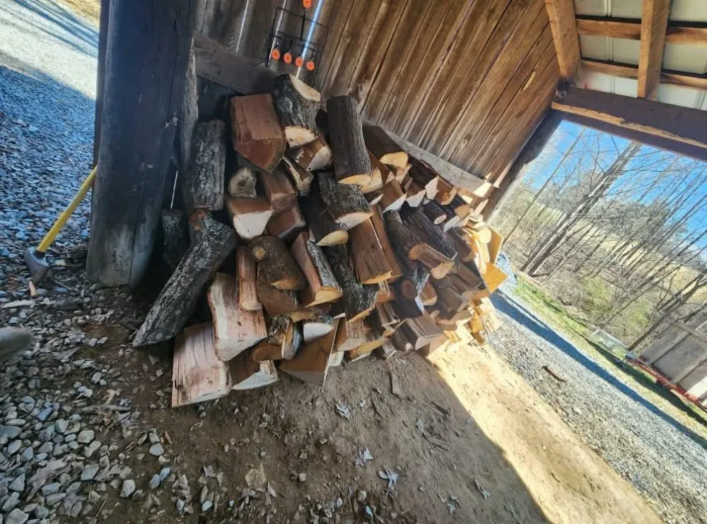 Local yard cleanup service for homes across Lynchburg, VA - XBS Tree and Lawn Care