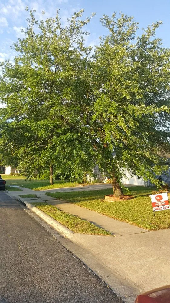 Professional outdoor landscaping in Magnolia, TX by X'cellent Lawn Kare & More