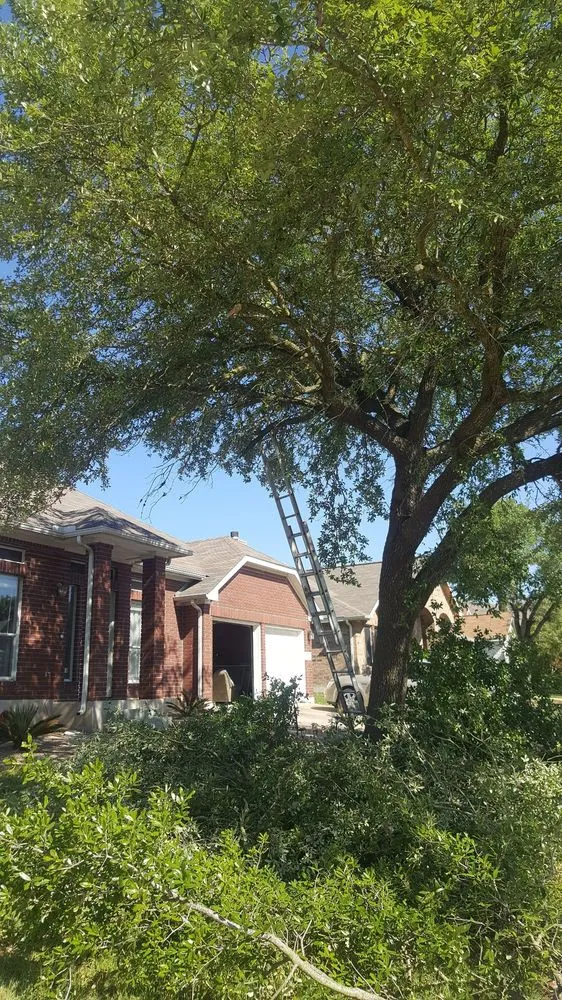 Top-rated lawn mowing service in Magnolia, TX by X'cellent Lawn Kare & More