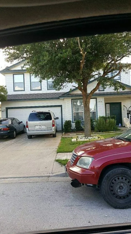 Local yard cleanup service for beautiful yards across Magnolia, TX - X'cellent Lawn Kare & More