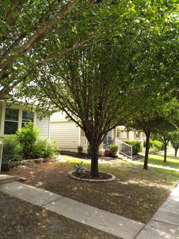 Top-rated landscaping services in Magnolia, TX by X'cellent Lawn Kare & More