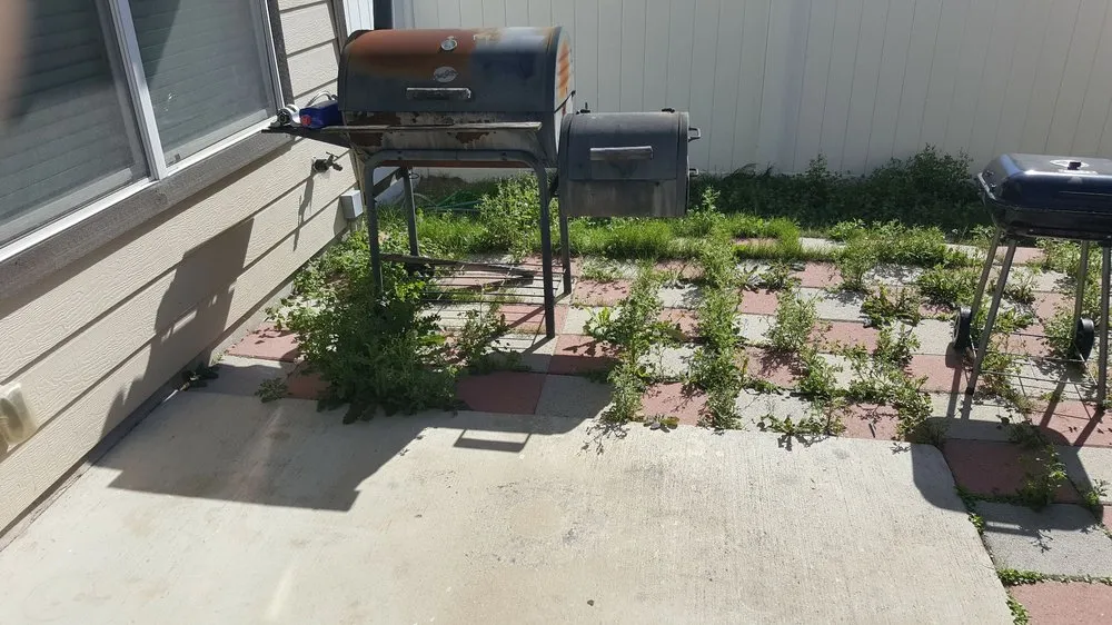 Expert landscape installation for homes in Magnolia, TX by X'cellent Lawn Kare & More