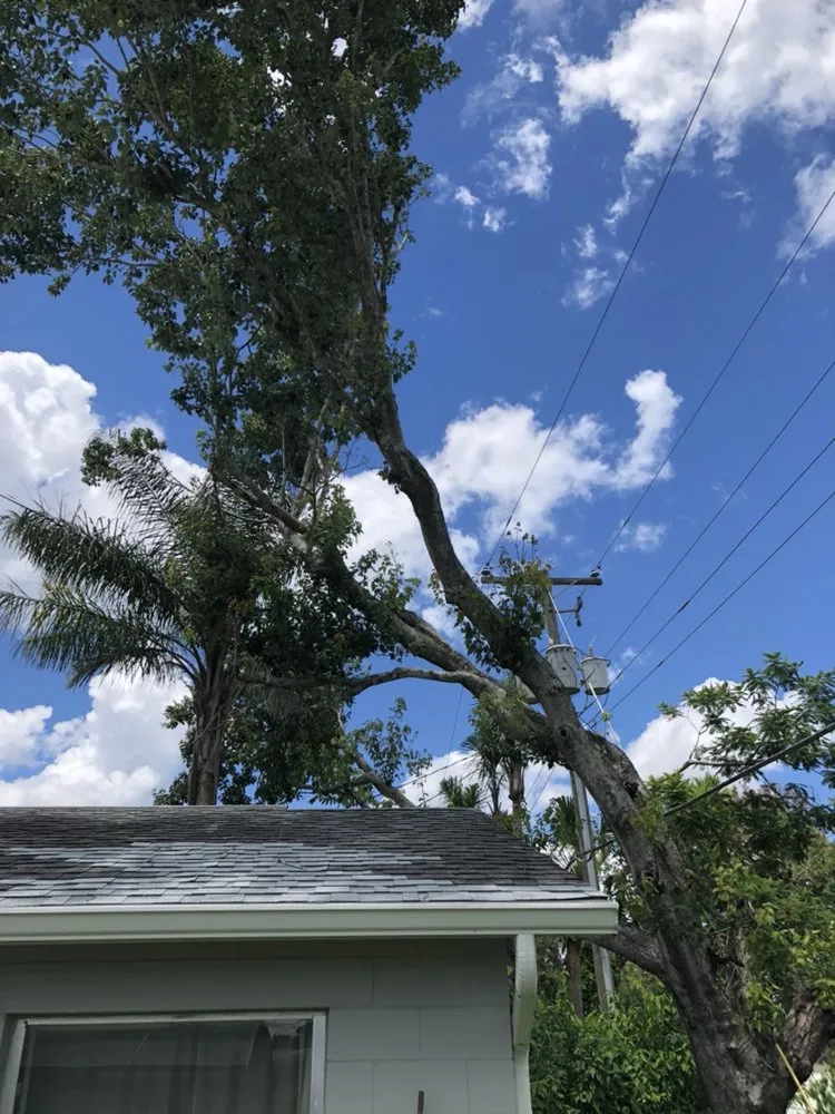 Top-rated yard maintenance in Casselberry, FL - XD Land Service