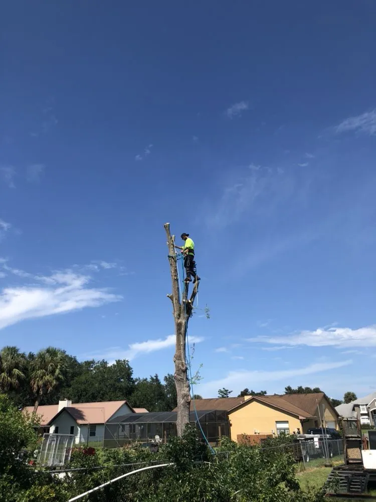 Local landscape installation in Casselberry, FL - XD Land Service