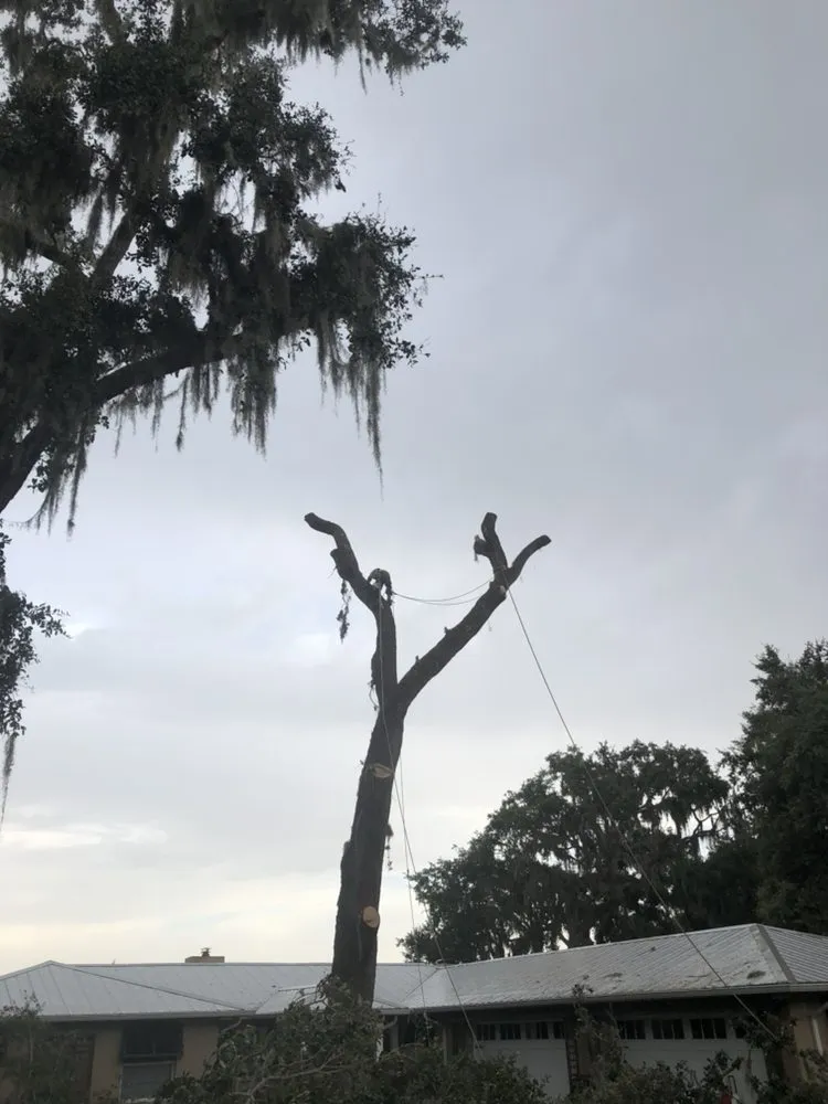 Reliable yard maintenance for beautiful yards across Casselberry, FL - XD Land Service