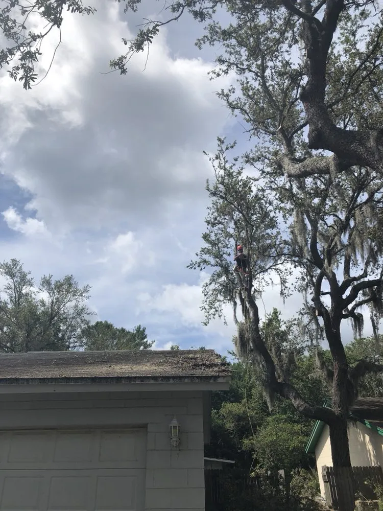 Local landscape design near you in Casselberry, FL by XD Land Service