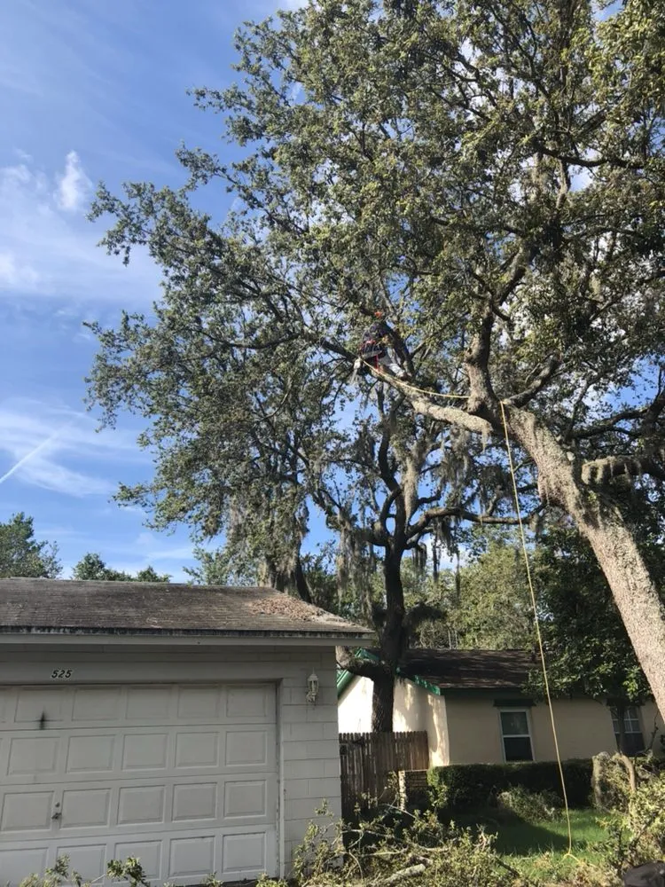 Affordable outdoor landscaping in Casselberry, FL by XD Land Service