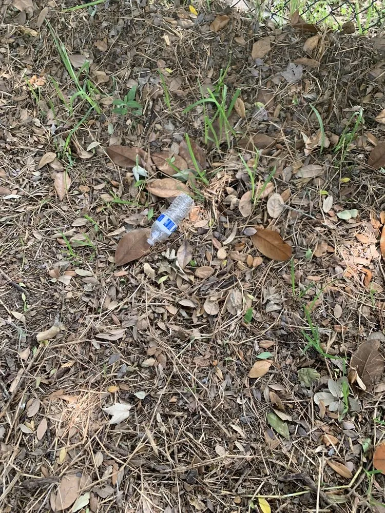 Top-rated residential landscaping for homes across Casselberry, FL - XD Land Service