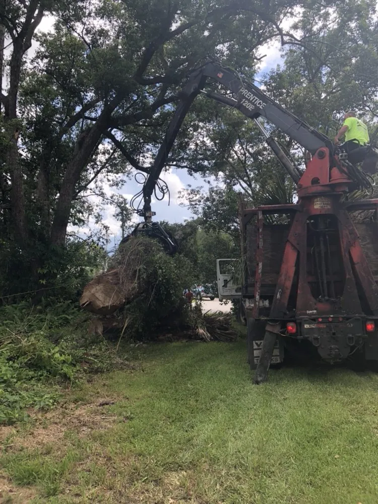 Affordable landscape installation in Casselberry, FL - XD Land Service