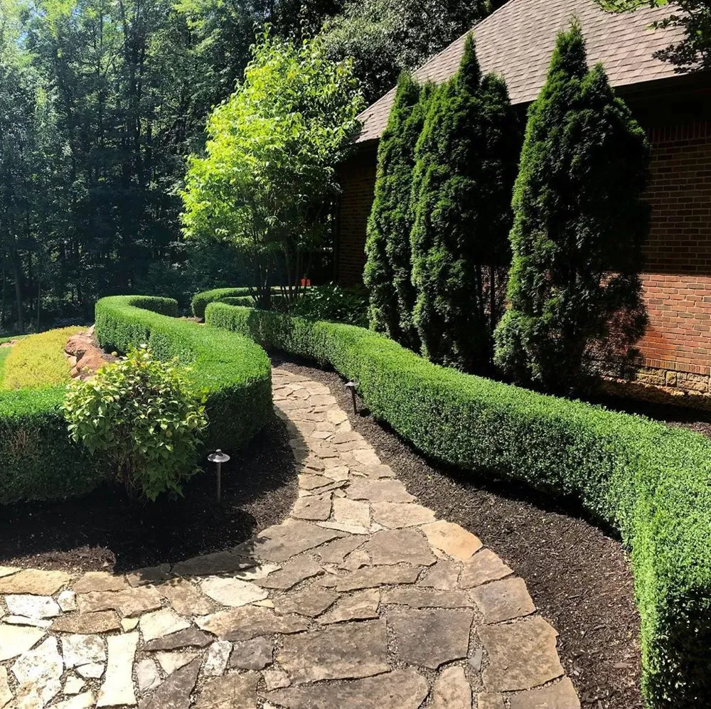 Expert garden landscaping for beautiful yards across Woodland HIlls, CA - Xenoscapers