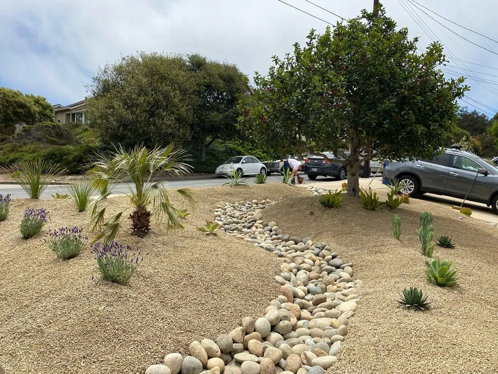 Reliable outdoor landscaping for year-round maintenance across Jamestown, CO - Xeric Landscapes