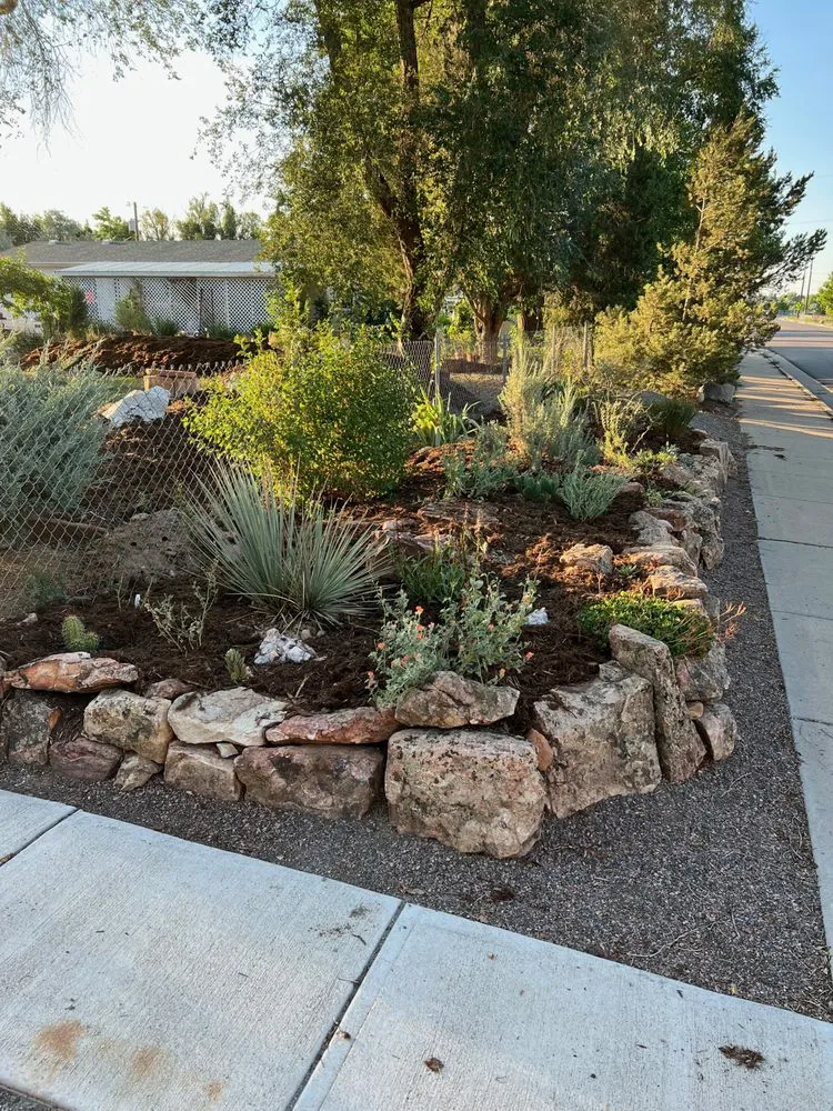 Custom garden landscaping for residential properties in Jamestown, CO by Xeric Landscapes