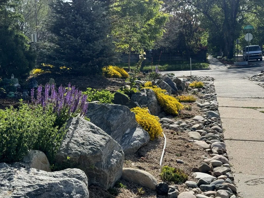 Top-rated yard cleanup service in Denver, CO - Xeris Landscaping