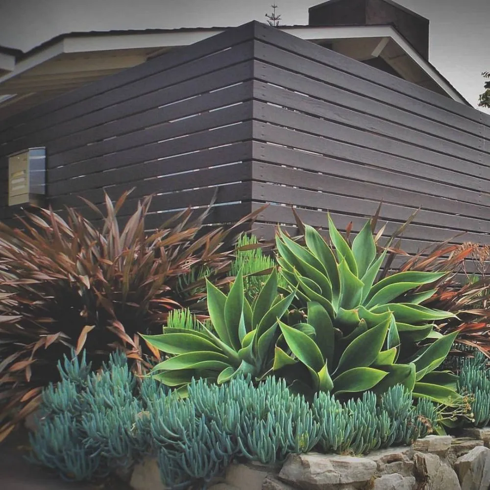 Trusted landscape design in Fullerton, CA by Xeristyle Exterior Design