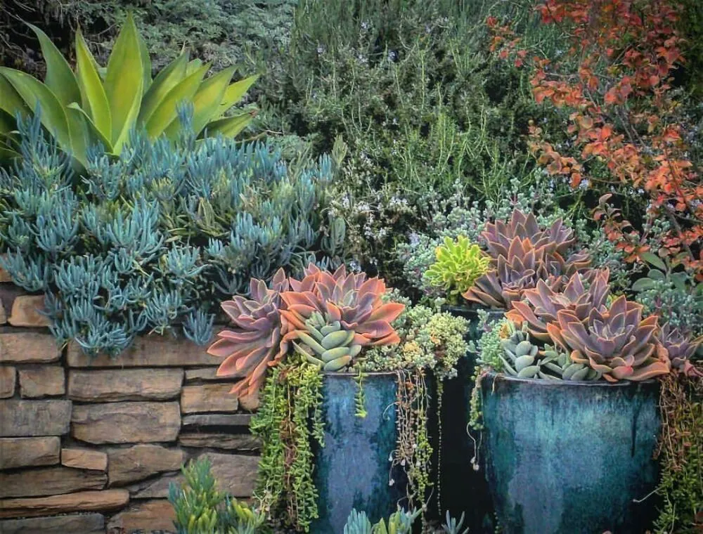 Custom garden landscaping for year-round maintenance across Fullerton, CA - Xeristyle Exterior Design