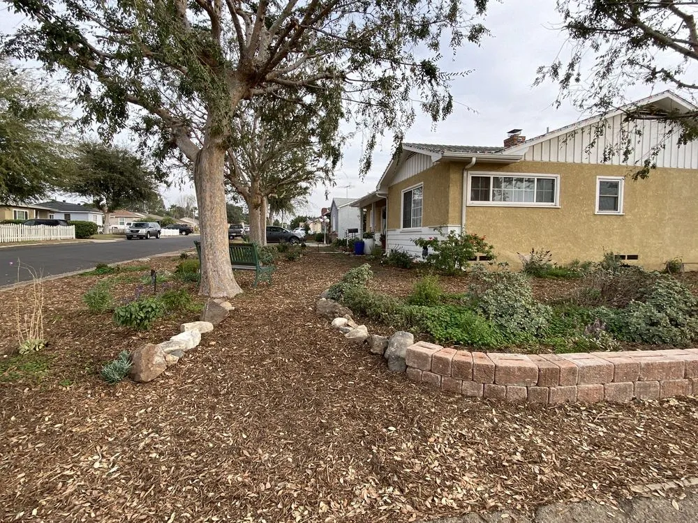 Professional lawn mowing service in Fullerton, CA - Xeristyle Exterior Design