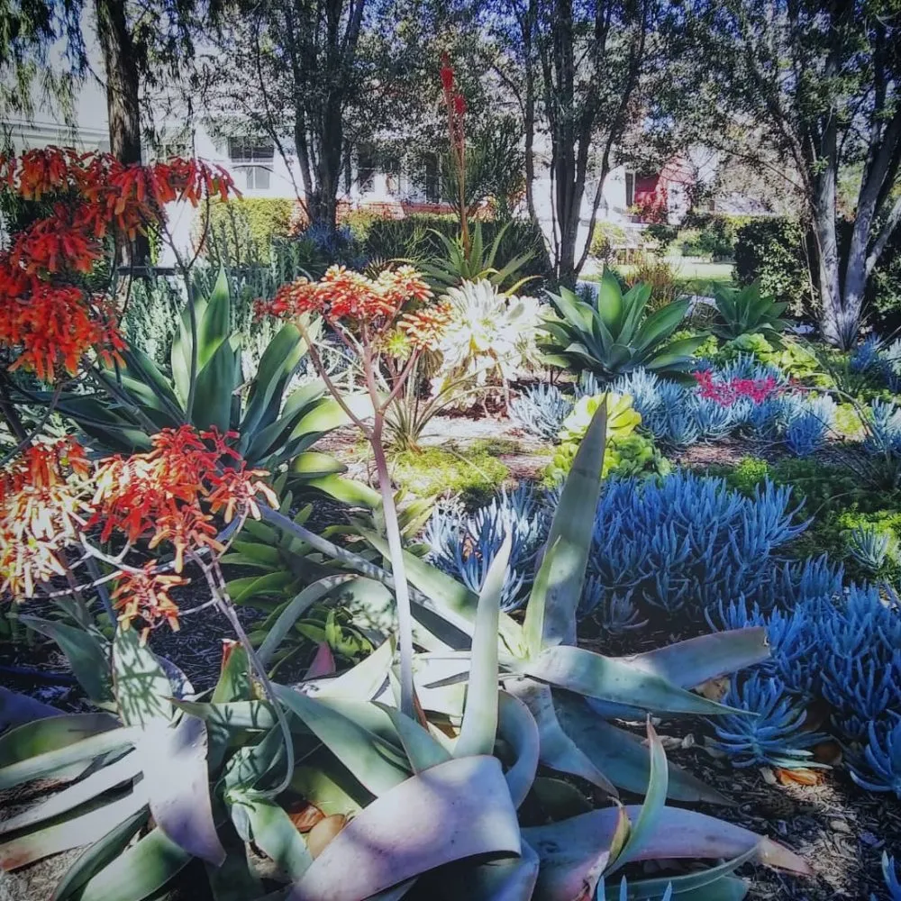 Trusted outdoor landscaping for residential properties across Fullerton, CA - Xeristyle Exterior Design