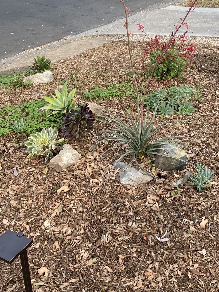 Top-rated landscape installation in Fullerton, CA by Xeristyle Exterior Design