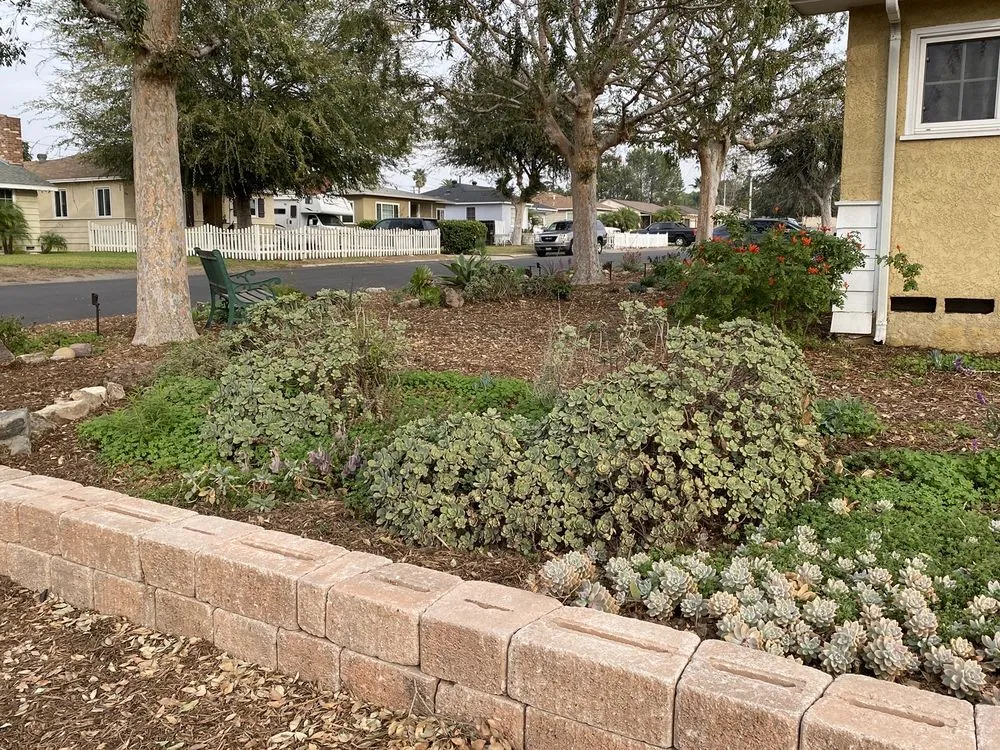 Trusted yard maintenance experts serving Fullerton, CA - Xeristyle Exterior Design