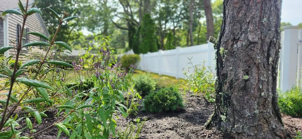 Top-rated yard maintenance for homes across West Barnstable, MA - XeroScape