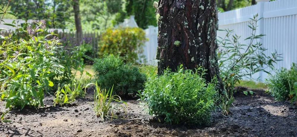 Reliable landscape installation for year-round maintenance across West Barnstable, MA - XeroScape