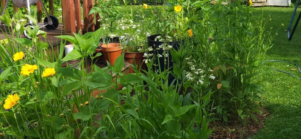 Local garden landscaping near you in West Barnstable, MA by XeroScape